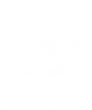 veteran_logo_white